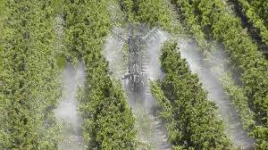 Find a range of fruit tree sprayers to suit your needs from trusted suppliers, at amazing prices. Targeted Spraying In Apple Orchards Growing Produce