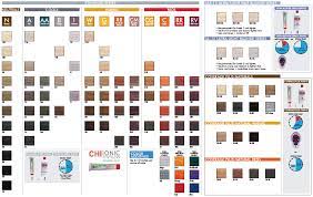 Chi Ionic Permanent Shine Hair Color Ammonia Free