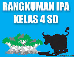 Sistem reproduksi pada manusia alokasi waktu : Rangkuman Materi Pelajaran Ipa Kelas 4 Sd Mi Semester 1 2