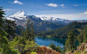 Download Mountains Wallpaper Wallpaper Mountain Landscape Mountain Landscape Mountain Wallpaper Forest Wallpaper