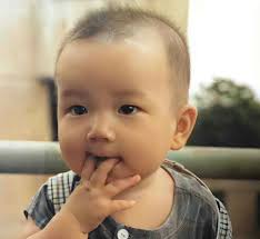 Happy April Fool's Day! 🩷 My Princess 🐶 #Zhaolusi