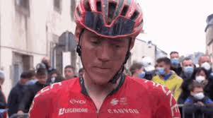 Connor Swift Tro Bro Léon GIF