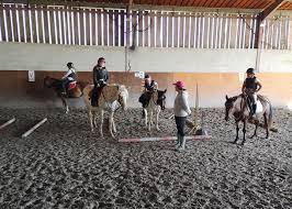 Cheval Nature 64 A Salies De Bearn 64 Activites