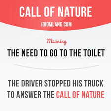 Call Of Nature Is The Need To Go To The Toilet Example The Driver Stopped His Truck To Answer T Learn English Words English Idioms Learn English Vocabulary