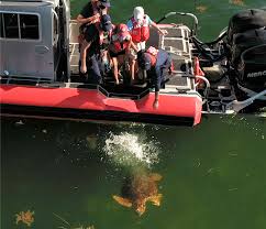 Two Rehabilitated Sea Turtles Rescued At Different Times And Locations By The U S Coast Guard Have Been Releas In 2020 Uplifting News Feel Good News Good News Stories