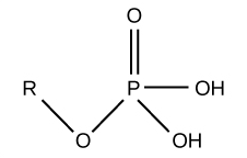 Functional Groups Carbon Biology Article Khan Academy