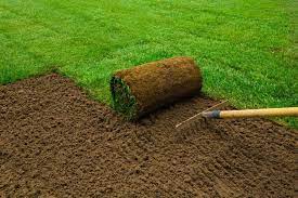 Rollrasen Dungen Zeitpunkt Vorgehen Der Richtige Dunger Rasenbelufter Gartentipps Rasen