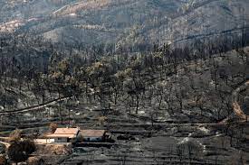 Muita coragem aos bombeiros e aos afectados por esta tragédia. Incendio De Monchique Destruiu 27 Mil Hectares De Floresta E Mato Incendios Florestais Publico