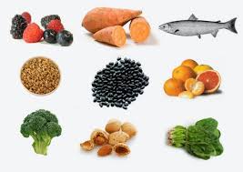 Your furry friend is definitely a member of the family. The Top 10 Healthy Foods Mr Mrs Magazine