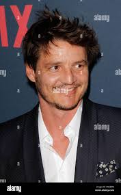 2016 pascal hi-res stock photography and images