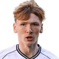 Fußball FA Cup: Statistik: Karten