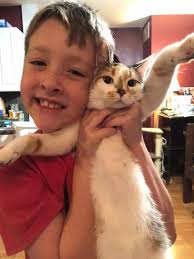 What Happened to the Kitten Chad Rescued