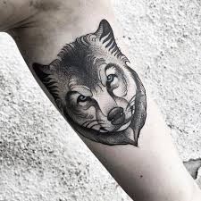 Tattoo ideas & dövme modelleri. Basit Kurt Dovme Modelleri Kizlara Moda