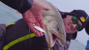 Niagara Bar Lake Trout- Dave Mercer's Facts of Fishing THE SHOW