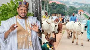 My parents came for katsina in northern nigeria. As A Fulani Man I Don T Support Cows Roaming Streets In 2021 Adamu Garba National Daily Newspaper