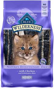 6 Blue Buffalo Wilderness Cat Food Review Top Picks Guide
