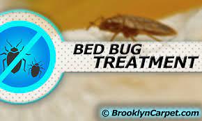 Bed Bug Treatment Brooklyn