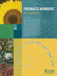 American Mathematical Society Provides Posters Promoting Awareness Of Mathematics Math Poster Maths In Nature Education Poster