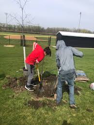 Tipton Community School District