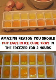 Amazing Reason You Should Put Eggs In Ice Cube Tray In The Freezer For 2 Hours Ice Cube Tray Recipes Ice Cube Trays Freezing Eggs