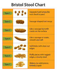 bristol stool scale