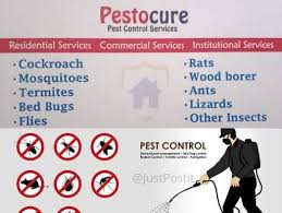 Sreepesto solutions india pvt ltd, a well known name in pest control field has established itself in this arena due to instant services for eradicating pests. Pestocure Just Post It