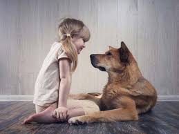 Adhd also can cause children to be unsocial. 17 Rules To Keep Kids And Dogs Safe Dogs And Kids Therapy Dogs Dog Love
