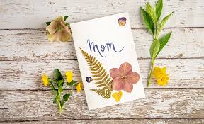 Maybe you would like to learn more about one of these? How To Press Flowers The Home Depot