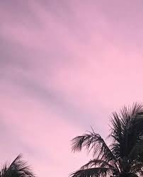 1.5m ratings 277k ratings see, that’s what the app is perfect for. Pink And Black Aesthetic Black Aesthetic Pastel Aesthetic Aesthetic Backgrounds