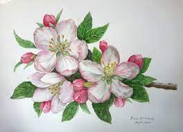 Pin On Bloemen Plaatjes 2