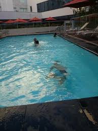 Piscine Picture Of Ibis Styles Nice Airport Arenas Tripadvisor