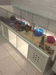 Ikea Detolf Hamster Cage Ikea Detolf Hamster Cages Hamster Habitat