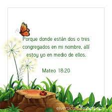 Porque Donde Estan Dos O Tres Congregados En Mi Nombre Alli Estoy Yo En Medio De Ellos Mateo 18 20 Ver Mas Https Elversiculodeldia Com Es In 2021 Plants