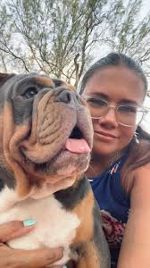 bpspetsandtheirpeople A category I can definitely contribute to 😅 Some  oldish, some new, all love ❤️