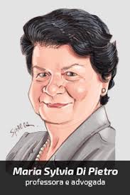 Politização do Judiciário pode opor interesses individuais e coletivos