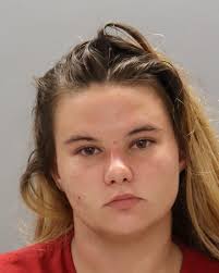 NAME: HEIL DEVON C 01/30/2005 M W Booking Date: 01/07/2025 Charges: GRAND  THEFT