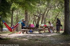 Blue spring state park is a state park located west of orange city, florida, in the united states. Gilchrist Blue Springs State Park Florida S Newest State Park Now Open Visit Natural North Florida