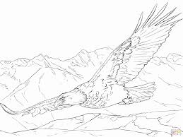 Bird Nest Coloring Pages Awesome Bald Eagle Coloring Page Weisskopfseeadler Vogel Malvorlagen Ausmalen