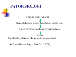 Gagal ginjal dibagi menjadi 2 golongan yaitu. Perawatan Terminal Gagal Ginjal Kronik Ppt Download