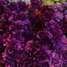 Maybe you would like to learn more about one of these? Bob Sass Flowers Home Facebook
