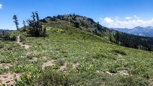 Book your stay with tahoe moon properties It Is Possible To Escape The Crowds In Lake Tahoe Here Are Five Hikes To Get Away From It All
