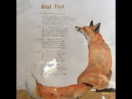 Red Fox A Spell By Robert Macfarlane Youtube