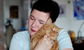 Die Katzendetektivin, die nie aufgibt