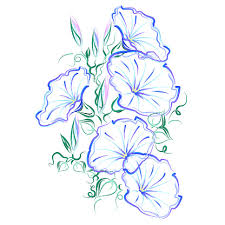 Morning Glory Vine Hand Drawn Stylized Color Vector Brush Sketch Of Morning Glory Flowers Flower Art Drawing Flower Drawing