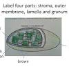Our method is the easiest way to learn biology. 1