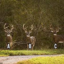 Which one are you taking? : rHunting