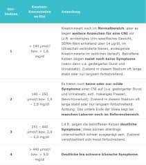 Chronische Niereninsuffizienz Cni Cne Bei Der Katze Fellomed De
