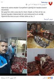 Teekked Turk Polisi Adana Da Suriyeli Bir Kasapta At Ve Kedi Eti Yakaladi Mi