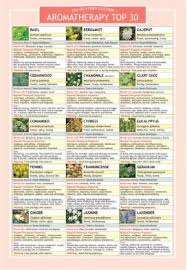 Aromatherapy Top 30 Two Sided Color Informational Chart
