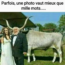 Une Photo Vaut Mieux Que Mille Mots Funny Baby Memes Cartoon Memes Memes